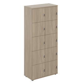 Локер 10 ячеек SG.820   