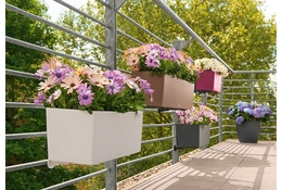 Серия «BALCONERA Color»